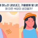 5월의봄볕 SBS