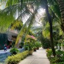 어병 | 푸꾸옥(Phu Quoc) 조식이 끝내주는, 최고의 가성비 호텔