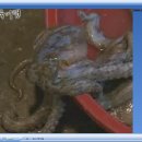 회진시장 이미지