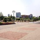 수원-1642 이미지