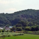 영주시부석면상석보건진료소 | #영주 부석면 상석리 감살미 솔숲 - &#39;백로서식지&#39;