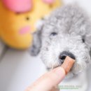 주식회사 국개대표 이미지