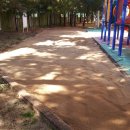 대구장성초등학교 이미지