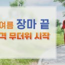 하이엘라 이미지