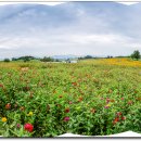 곰소농장 이미지