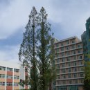 부산가톨릭대학교 이미지