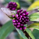 고원아파트 이미지