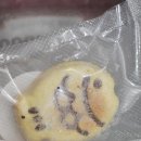 오늘도멍냥 이미지