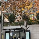 수(秀) 골프스튜디오 | 역삼•선릉 골프연습장 어디가 좋아? 7세븐스튜디오 실제 이용 후기