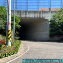 석천길 | 25. 7. 25.~7. 26. 충북 반야사 템플스테이