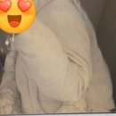 유레카내과의원 | 급성충수염(맹장염) 증상 및 수술후기