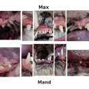 말티스토리 이미지