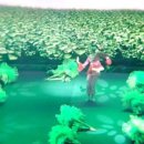 명인프라자1 이미지