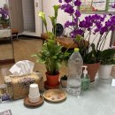 소재현치과의원 이미지