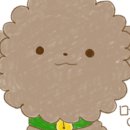 소울독(SOULDOG) 이미지