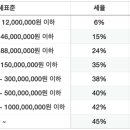 종합과세와 분리과세의 비교 이미지