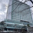 호텔빅토리아 | 부산 벡스코 가성비 숙소ㅣ'센텀빅토리아호텔' 내돈내산 솔직후기