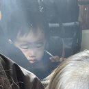 이십사-십일