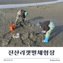 대박마트 | 태안 해루질 명소｜진산리 갯벌체험장 행복마트 물때 시간 맞춰 다녀온 후기 (맛조개 대박)
