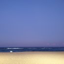 노마드(주)