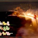 신비로-11 이미지