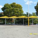집합장소 - 춘천시 춘천로281번길 1 | 집합장소