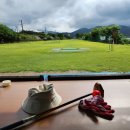 피부건조증에 는 들깨가루가 최고여 이미지