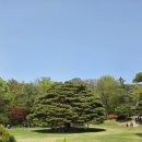 3대대 정문 | 북악산 탐방로 성곽길에서 청와대 춘추관까지 산행 추천 소요시간 및 난이도 지극히 개인적인 후기