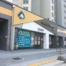 마곡나무 동물병원 | *우리 양치 마곡나무동물병원 중성화수술 후기*