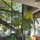 청풍주유소 이미지