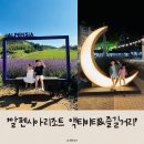 [강원도 평창] "알펜시아리조트 즐길거리 액티비티 즐길거리" 아이와 강원도 여행 여름휴가 추천