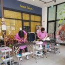 봉순이네 펫살롱 이미지