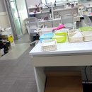 새로운치과기공소 이미지