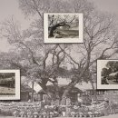 야생초공원 테니스장 이미지