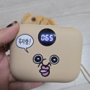 보바 빵빵이 손난로보조배터리 내돈내산 후기