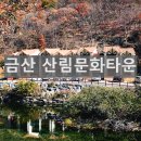 느티골길 이미지