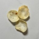 CU개나리셀프점 | 뻥튀기공작소 서울 양원점 내돈내산 뻥튀기(위치, 종류, 가격, 계산방법)