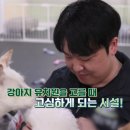 멍스가든 이미지