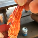 더드림 하우스 펜션 이미지