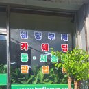 함평천지꽃