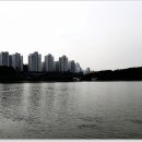 포인트낚시터 이미지