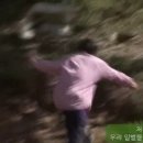 시엘병원 네이버블로그