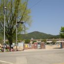 화령초교 이미지