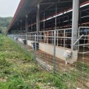 경남목장 이미지