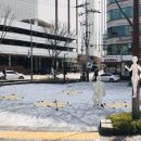 신촌파랑고래 이미지