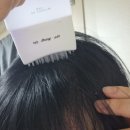 클라라헤어모드 | 정수리 탈모가 신경 쓰일 때 관리하는 여성탈모앰플 추천ㅣ헤어리듬 루트너 두피앰플 후기