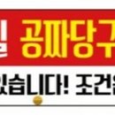 반딧불당구장 이미지