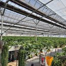 들꽃가람 이미지