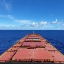 삼육상사 | [호주해대 진학기] 2.3 학생비자 신청