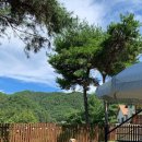 레이크 민박 이미지